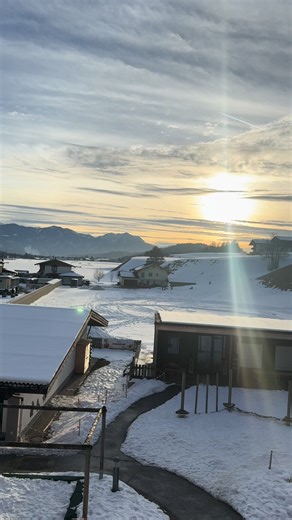 Adele-Inspired Performance for Musicians and Sheep