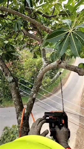 Instagram video by fun factory • Feb 15, 2026 at 1:09 AM