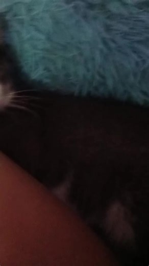 Videos de Daiana Romero (@daiana.romero80) con “sonido original - Lisa Simpson Oficial ✅”