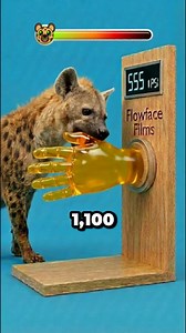 Which Animal Can Rip Your Hand Off With A Single Bite? 😳🐊 They look like harmless little emoji animals… until you see the PSI numbers. From the 1,100 PSI bone-crushing hyena to the 5,000 PSI Nile crocodile that erases your hand before you even feel it, each one gets a single bite at the same gel hand test. Watch till the end and comment which bite force shocked you the most—and which emoji you’d never want to meet in real life. 👇 #biteforce #sciencefacts #animalfacts #hyena #grizzlybear #jagu