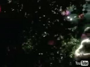 No Doubt - Don't Speak ( Гвен Стефани)