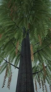 ⚠️🌳 شجرة الأيلنط (Ailanthus altissima) تُعرف بشجرة الجنة… لكنها في الحقيقة شجرة غازية خطيرة! 🔴 كيف تقتل الأشجار الأخرى؟ تفرز مواد كيميائية سامة في التربة تمنع نمو النباتات القريبة 🌱❌ تنمو بسرعة كبيرة وتحجب الضوء عن الأشجار المحلية ☀️ جذورها قوية وتزاحم جذور الأشجار الأخرى على الماء والغذاء 💧 🟠 لماذا تُعد غازية؟ تتكاثر بسرعة هائلة بالبذور والجذور تتحمل الجفاف والتلوث يصعب القضاء عليها بعد انتشارها 🟢 هل لها فوائد؟ تُستخدم في بعض الصناعات التقليدية تتحمل الظروف القاسية في المدن ⚠️ لكن ضررها ا