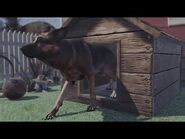Fallout 76- Camp Pets - Developer Announce TGS 2024