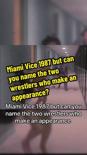 Miami Vice 1987: Wrestlers in the Show
