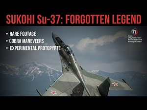 𝙎𝙪𝙠𝙝𝙤𝙞 𝙎𝙪-37 𝙏𝙚𝙧𝙢𝙞𝙣𝙖𝙩𝙤𝙧.