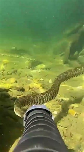 😱 Robotic Snake Ko Ganga Me Chhoda Aur Camera Me Nikla Saanpon Ka Raaz & Khazana! 🐍📷