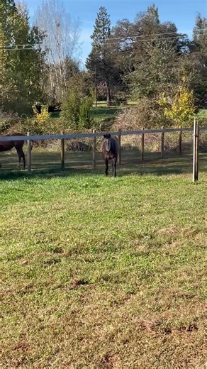 2.3K views · 44 reactions | Hello Snake  Lady..... some things never change | Lisa Martin | Facebook