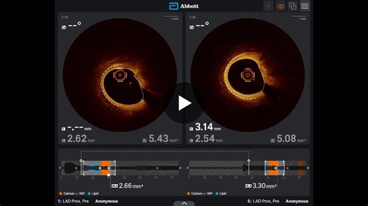 #oct | Paolo Canova | 10 comments