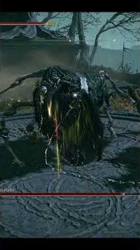 ELDEN RING BUILD CHICOTE NG+3