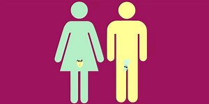 This educational song about genitals is going viral in Sweden