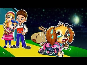PAW Patrol The Mighty Movie | Skye Is Missing In Paw Patrol? | Paw Patrol Animation