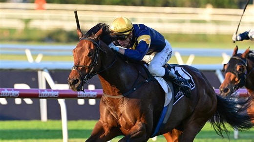 The curious case of the Stradbroke betting market