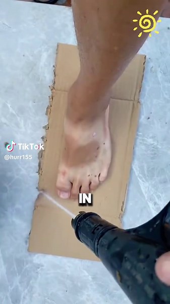 Understanding Roommate Dynamics in Shared Living Situations