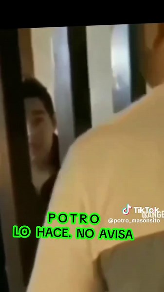 Videos de POTRO MASONSITO (@potro_masonsito) con “sonido original - POTRO MASONSITO”