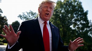 Fox News Video on Reels