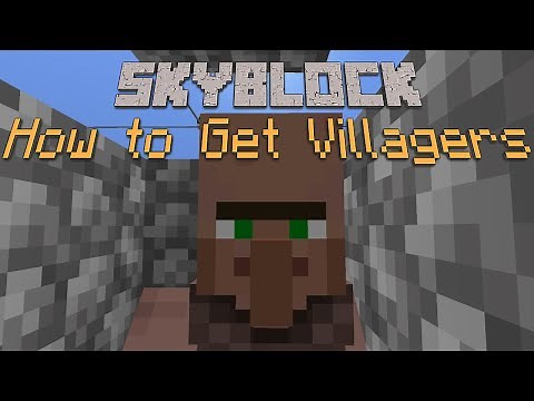 How to Get Villagers in Skyblock