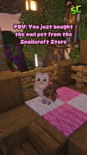 🦉 Java/Bedrock IP: play.snailcraftmc.com Port: 19132 #fyp #minecraftservertojoin #cozygames #minecraftsmp #minecraftserverjava