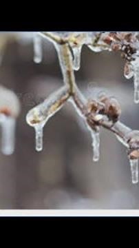 What’s the difference between snow, sleet and freezing rain?