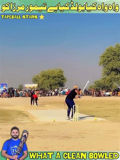 What a clean bowled in tape ball cricket | Best bowled in cricket match | Top class bowled 2025