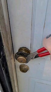 15K views · 9.1K reactions | Part 1 - Holy MOLDY! 濫 | Property Recovery Agent | Facebook