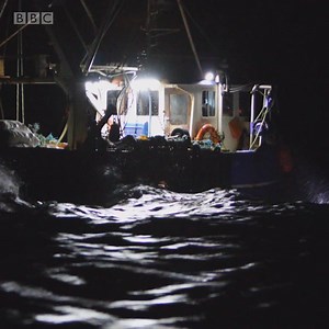 Divers say they've filmed evidence of illegal scallop dredging in a protected area near Oban. More: bbc.in/2SxG6fs | BBC Scotland News