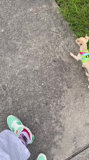 Georgia on my mind 😩￼