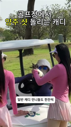 Real Thai Golf Vibes (Only in Thailand)