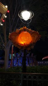 Disney World has released first looks at the brand new Dumbo and Timothy Q. Mouse pumpkin wreaths in Storybook Circus at the Magic Kingdom! 🎃🐘 🐭 How cute! #wdw #dumbo #pumpkins | Disney Addicts