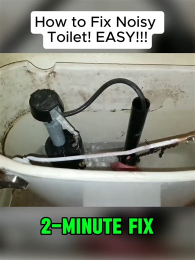 How to Fix a Noisy Toilet: Simple DIY Solutions