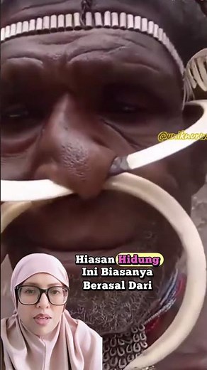 bipane hiasan hidung suku dani papua #tradisi #adat #culture #facts