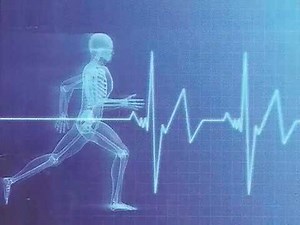 stress echocardiography