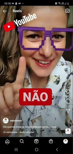 Tudo sobre Pedigree. O que eu preciso saber sobre Pedigree?