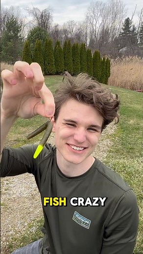 HOW TO Wacky Rig SENKOS For Fish!! 🐟 #shorts #fishing