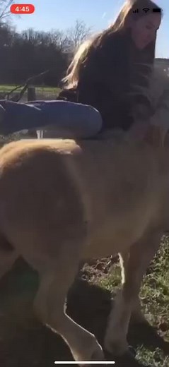 Cowgirls do it better #cowgirl #fyp #pony #xyzbca