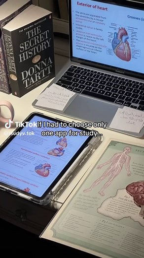 Focus Tree App: The Ultimate Study Companion for Students