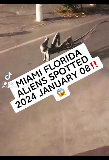 True Aliens in Miami Florida 2024 - Unbelievable Encounters