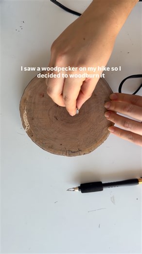 Winter can be dull, but have you noticed how birds contrast against the greyness of the this time of year, making them a little easier to spot? It's the little things like this that pull me through 🐧🌲❄️ If you're interested in purchasing 'Dawn Study', it is currently available on my website, hannahveiga.com . . #woodburning #pyrography #downywoodpecker #woodburningart #natureart | Hannah Veiga Studio