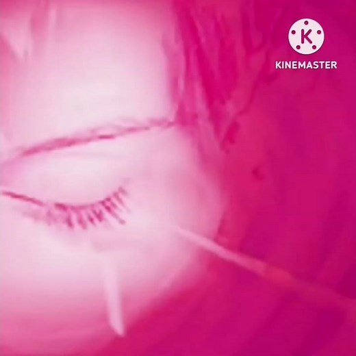 Samsung SCH-N895 Startup And Shutdown Animations (LATAM Anycall 2001)