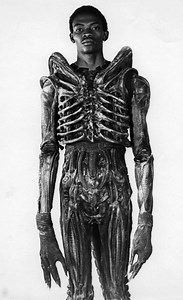 Bolaji Badejo - Alchetron, The Free Social Encyclopedia