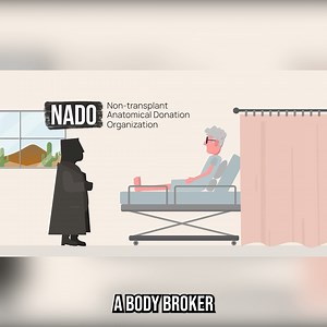 This Is What Happens After You Die 😲 | Johnny Harris