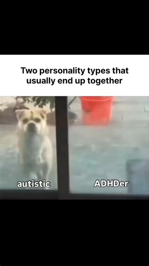 ADHD MOOD on Instagram: "Somehow, without fail, these two always find each other 😭 One is pure chaos — impulsive, talkative, emotional, starting stories mid-thought and forgetting the ending. The other is calm, grounded, quietly observant, watching the chaos unfold like, “Yep. That’s my person.” ADHD energy collides with emotional regulation, structure, and patience and BOOM — a perfectly unbalanced balance. One says, “What if we do this RIGHT NOW?” The other says, “Let’s maybe think about it f