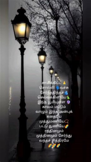 Tamil songs lyrics / samikita soli vache song lyrics /romantic song / love beats / what's app status