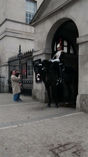 Crowd Loves the Royal Guard at Horse Guards Parade!
