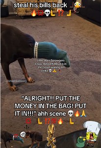 Sprawgers won’t survive for a minute in that house ☠️😭🥀🙏💯‼️ #fyp #viralvideo #trending #billcollector #bills