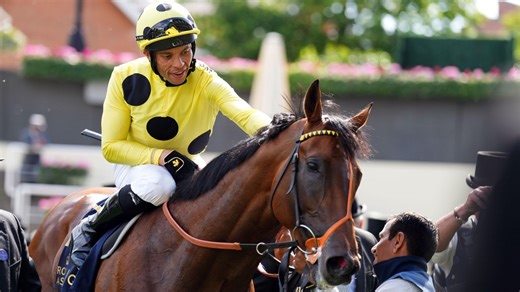 Alex Hammond Blog and Weekend Racing Tips