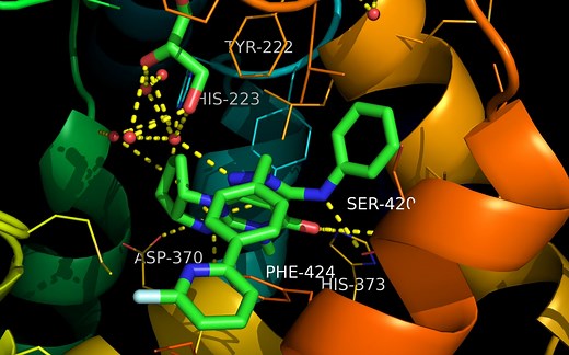 【教程】PyMol和AutoDock教你半柔性对接（雾）
