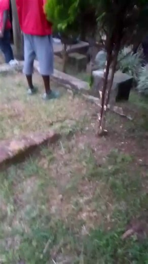 King Nulex (@kingnulex)’s videos with original sound - King Nulex