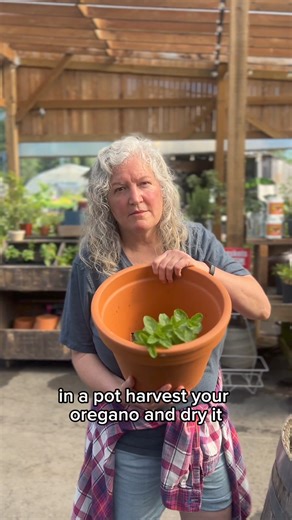 210K views · 10K reactions | Here are some essential tips to make the...