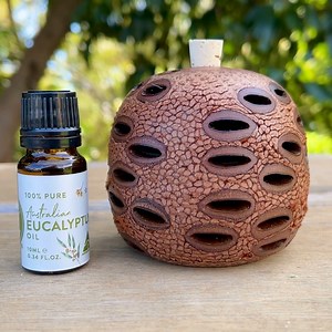 1.8K views · 19 reactions | Have you checked out our Banksia Pods?...