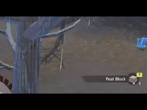 Where to find Peat Block in Pokémon Legends: Arceus | Peat Block Item Location